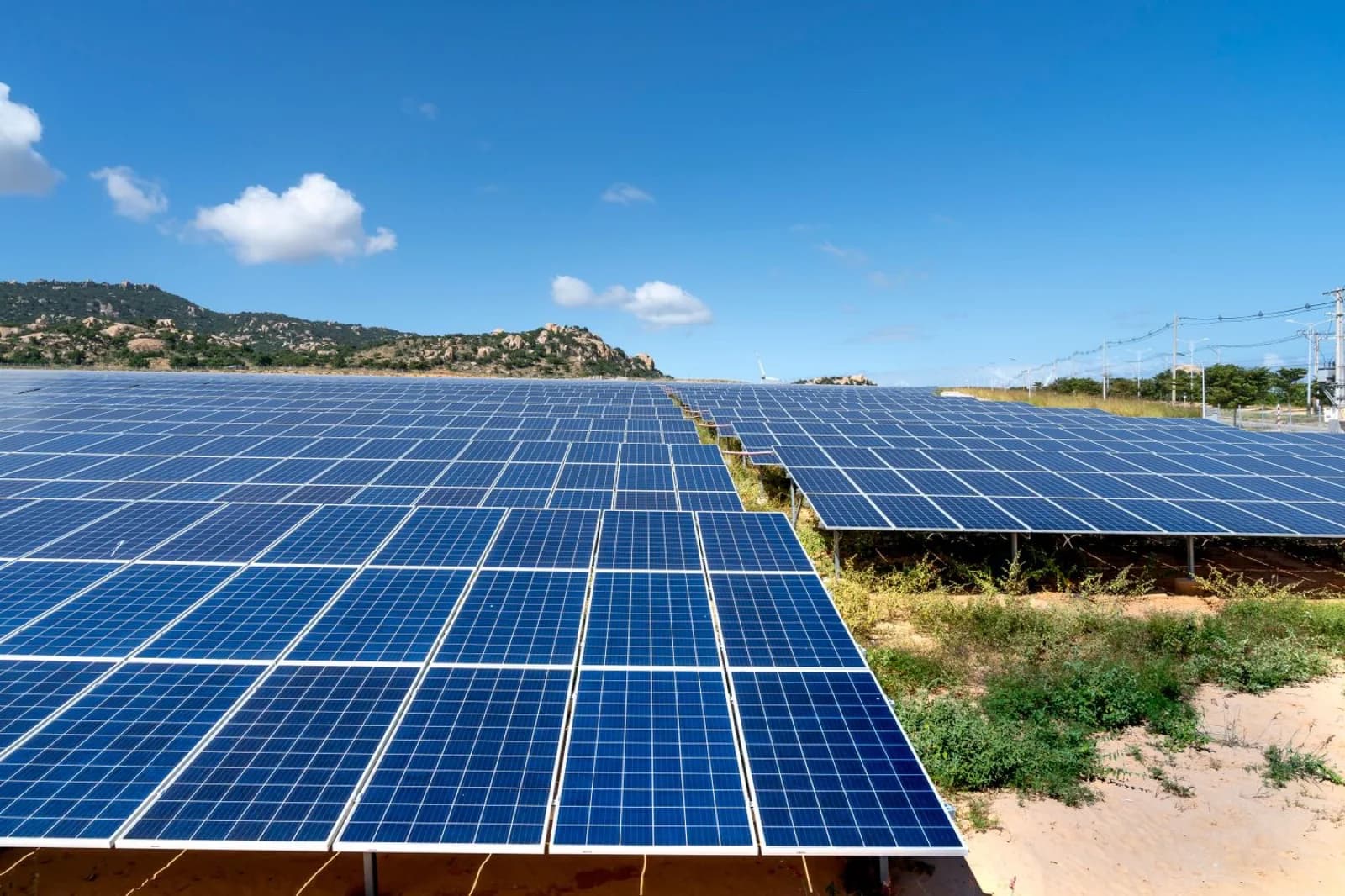 Campo de paneles solares bajo cielo despejado